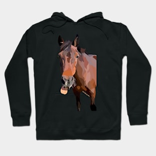 Horse portrait Hoodie